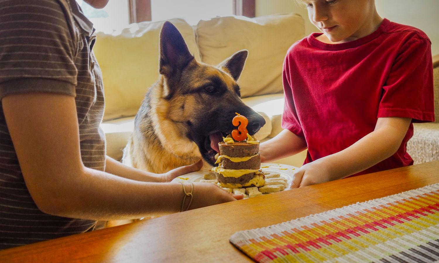 Maine Real Estate, Homes for Sale, Commercial Properties, Bangor