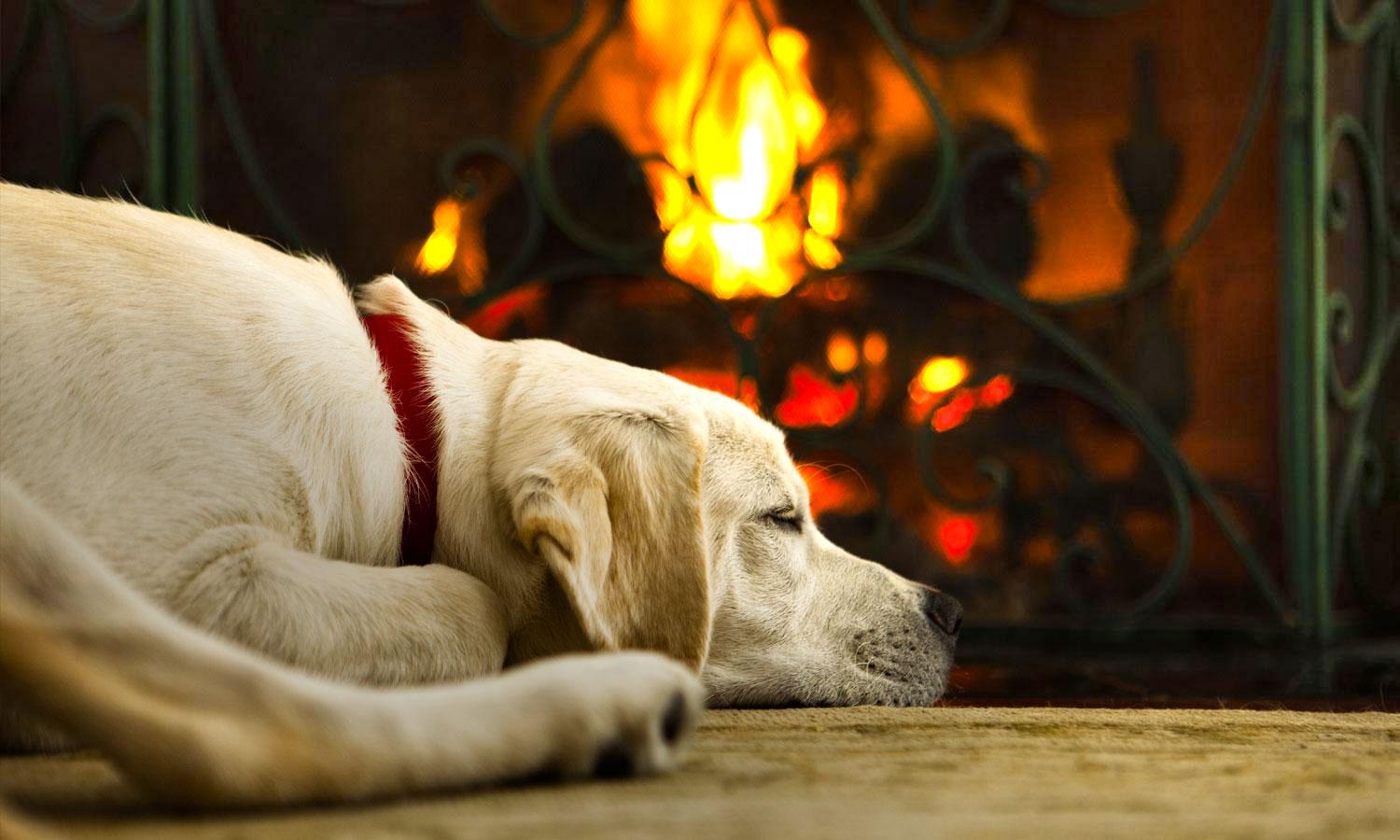 Maine Real Estate, Homes for Sale, Commercial Properties, Bangor